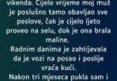 Posle rođenja bebe suprug je svakog vikenda odlazio kod majke: Jedan razgovor promenio je njihovu svakodnevicu