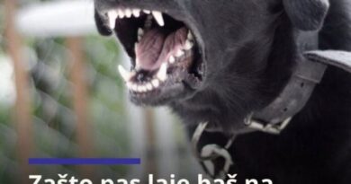 Zašto pas laje na neke ljude, a druge mirno prihvata?